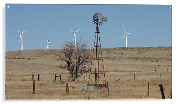 Windmills o547 Acrylic by Don Brady