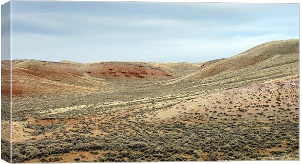 Wyoming prarie Canvas Print by Don Brady