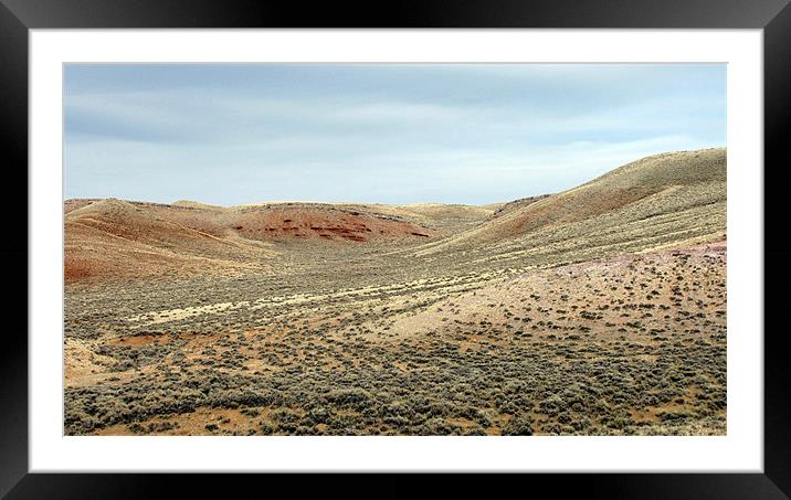 Wyoming prarie Framed Mounted Print by Don Brady