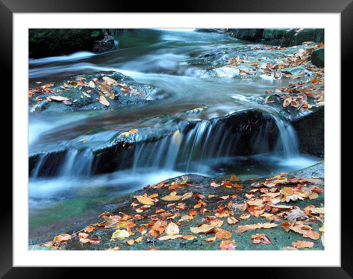 Still leaves Framed Mounted Print by Ralph Jackson