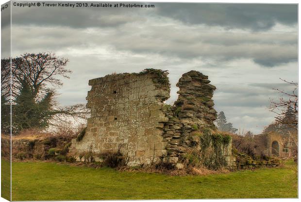 Jervaulx Abbey Ruins Canvas Print by Trevor Kersley RIP
