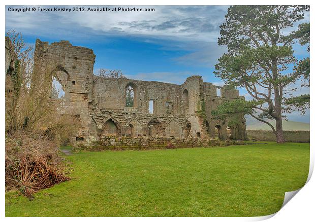 Jervaulx Abbey Ruins Print by Trevor Kersley RIP