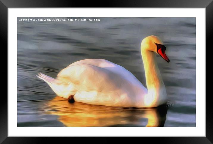 Lone Swan... Framed Mounted Print by John Wain