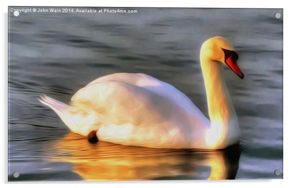 Lone Swan... Acrylic by John Wain