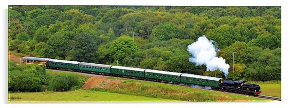 Swanage Railway Steam Gala 2013 Acrylic by William Kempster