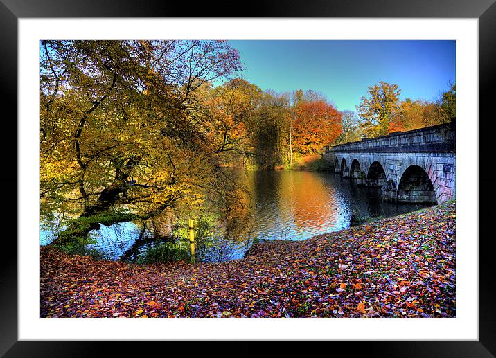 Virginia Water Lake in Autumn Framed Mounted Print by Simon West