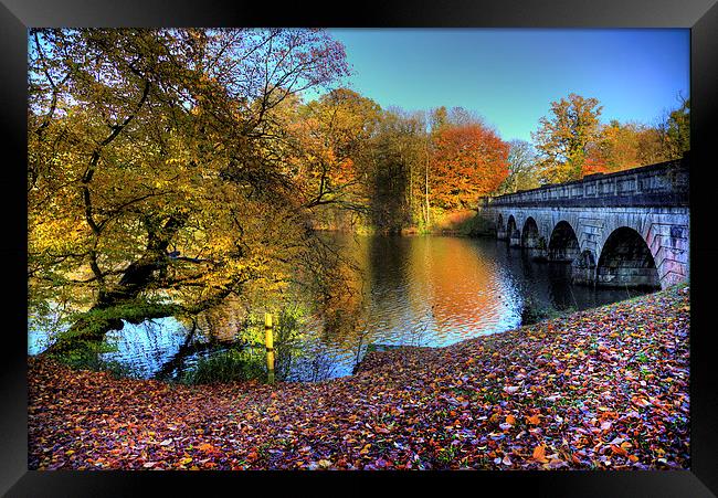 Virginia Water Lake in Autumn Framed Print by Simon West