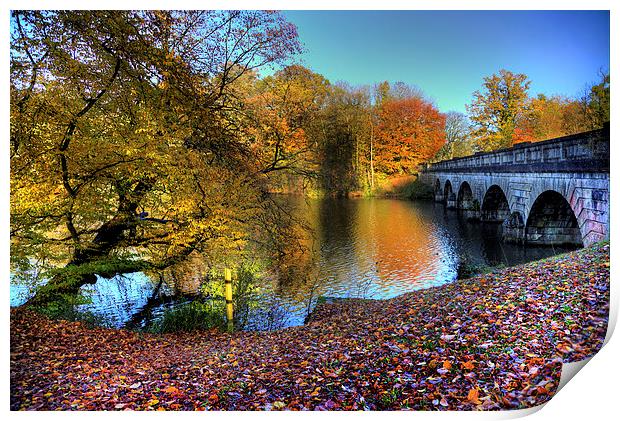 Virginia Water Lake in Autumn Print by Simon West