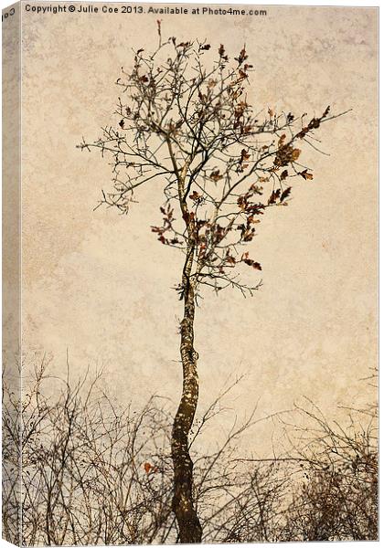 Autumn Tree Canvas Print by Julie Coe