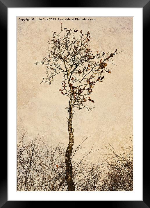 Autumn Tree Framed Mounted Print by Julie Coe