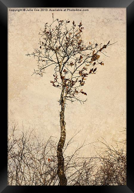 Autumn Tree Framed Print by Julie Coe