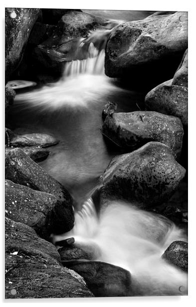 Padley Gorge in Mono Acrylic by Darren Galpin