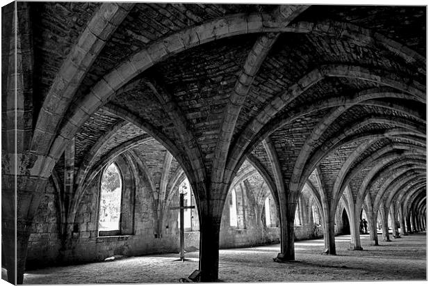Fountains Abbey, Yorkshire Canvas Print by Andrew Warhurst