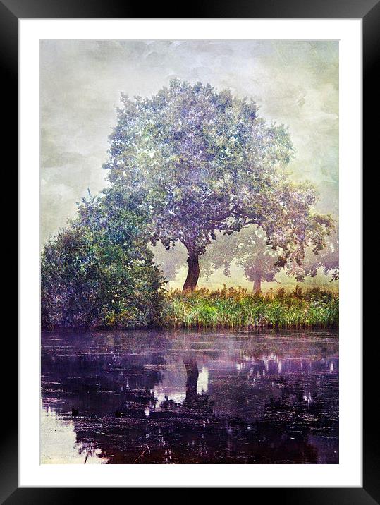 Reflection Framed Mounted Print by Dawn Cox