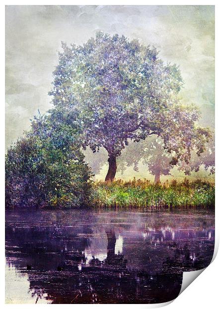 Reflection Print by Dawn Cox