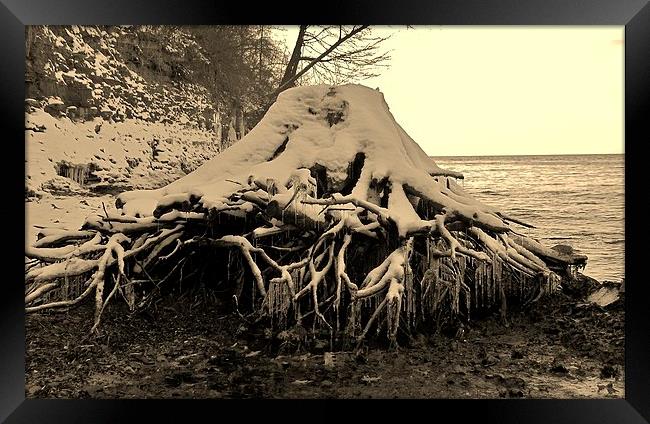 Logged Lake Wash-up. Framed Print by Jeffrey Evans