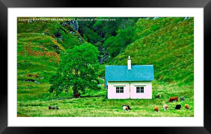 Scottish cottage Crosben Framed Mounted Print by Anthony Kellaway