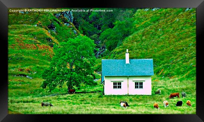 Scottish cottage Crosben Framed Print by Anthony Kellaway