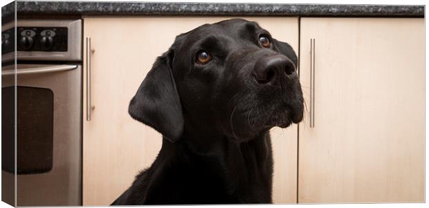 The Kitchen Appliance Canvas Print by Simon Wrigglesworth