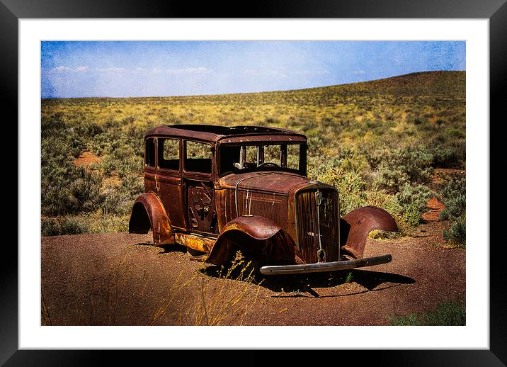 Stripped Down and Out Framed Mounted Print by Judy Hall-Folde