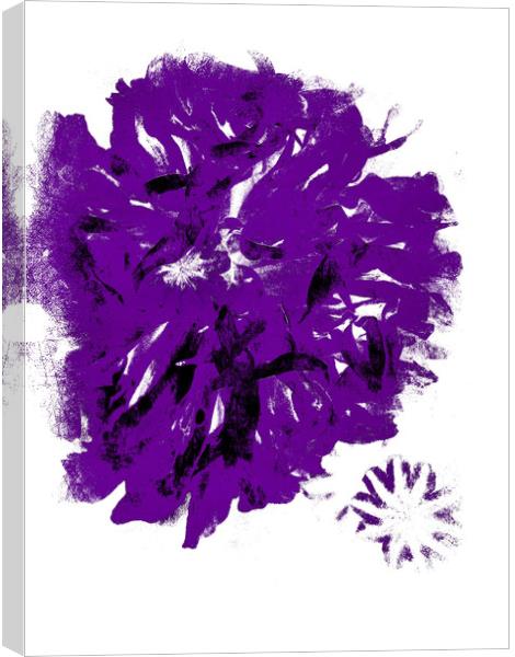 Purple Peony. Canvas Print by Heather Goodwin