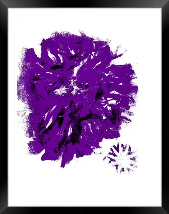 Purple Peony. Framed Mounted Print by Heather Goodwin