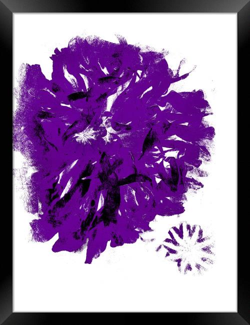Purple Peony. Framed Print by Heather Goodwin