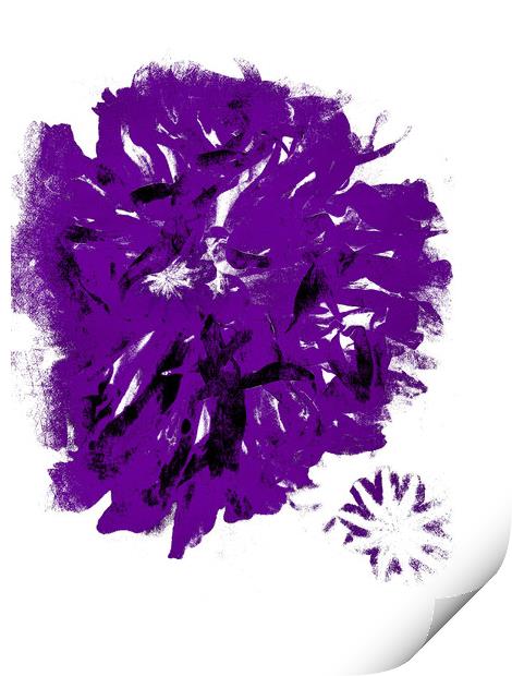 Purple Peony. Print by Heather Goodwin