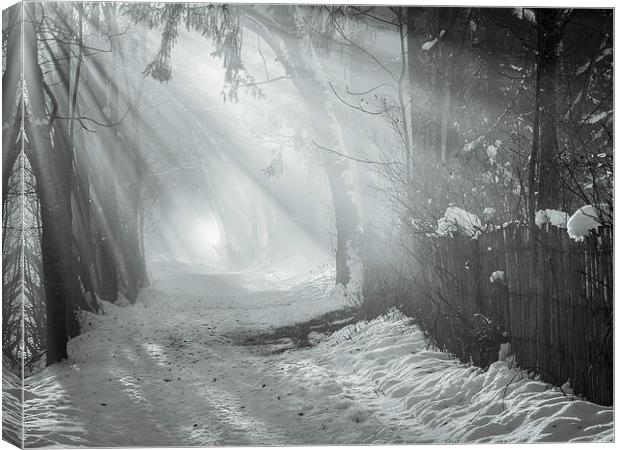 Walk in the mist Canvas Print by Jan Venter