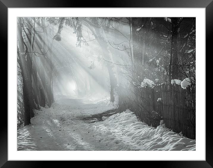 Walk in the mist Framed Mounted Print by Jan Venter