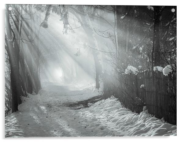 Walk in the mist Acrylic by Jan Venter