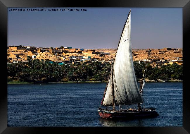 Felucca On The Nile Framed Print by Ian Lewis