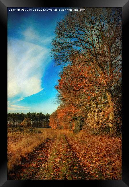 Autumn Walk Framed Print by Julie Coe