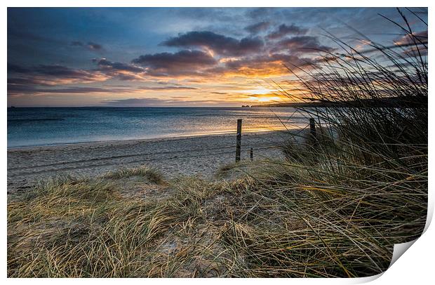Dunes and Sunrise Print by Phil Wareham