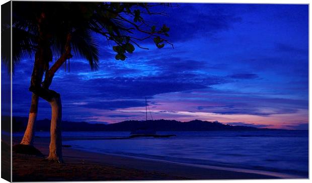 Blue Sunset Canvas Print by Laura Kenny