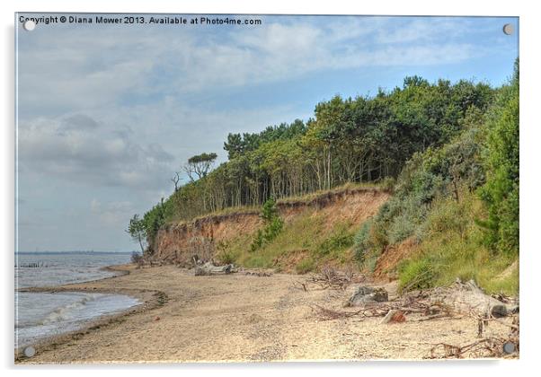 East Mersea cliffs  Essex Acrylic by Diana Mower