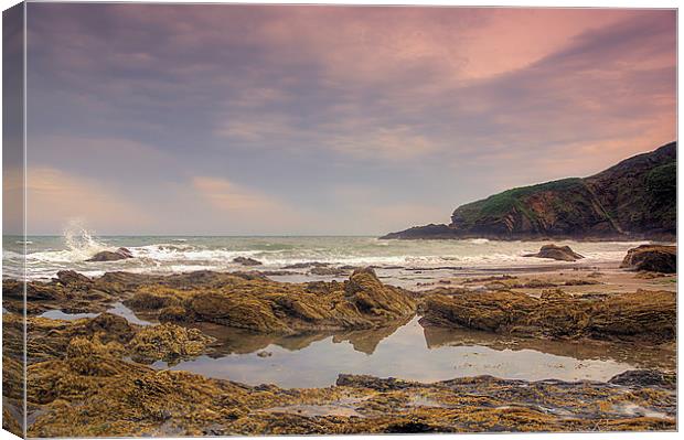 Rock Pool Canvas Print by kevin wise