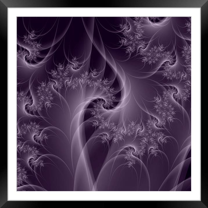 Purple and White Twist Framed Mounted Print by Colin Forrest