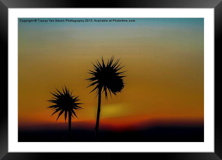 Thistles at Dusk Framed Mounted Print by Tracey Yeo