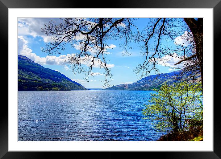 Loch Lomond Side Framed Mounted Print by Valerie Paterson