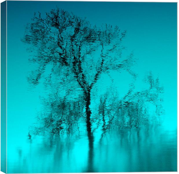 Feeling Blue... Canvas Print by Kate Towers