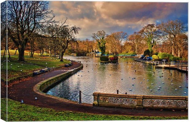 The Boating Lake Canvas Print by Colin Metcalf