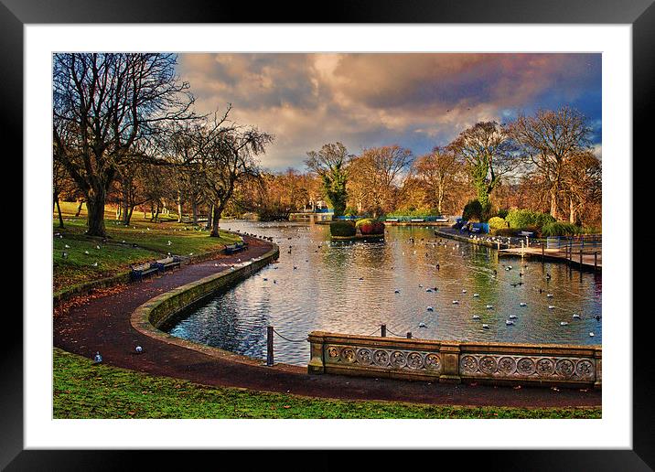 The Boating Lake Framed Mounted Print by Colin Metcalf