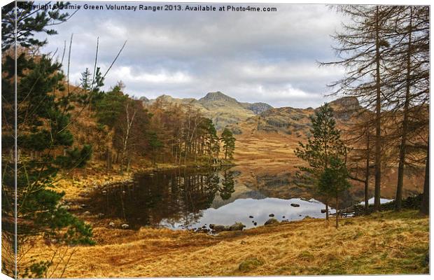 Blea Tarn,The Lake District Canvas Print by Jamie Green