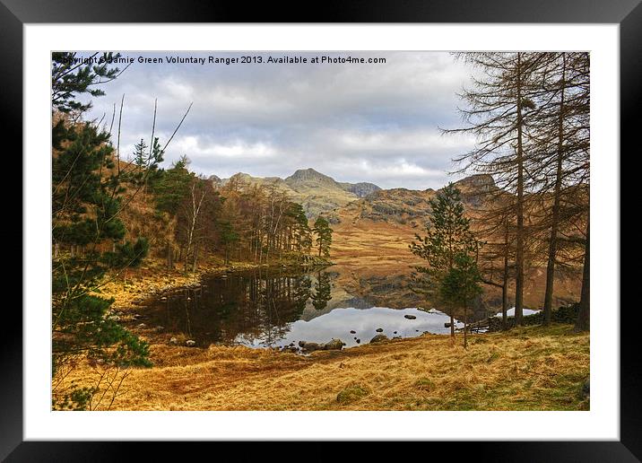 Blea Tarn,The Lake District Framed Mounted Print by Jamie Green