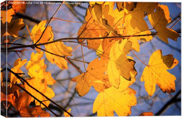 Golden Leaves Canvas Print by Julie Coe