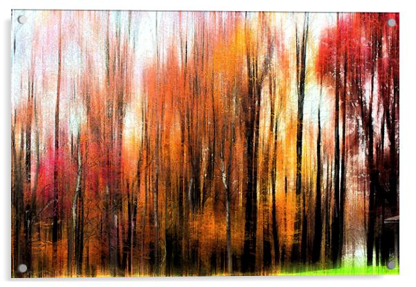 Abstract of Fall Trees Acrylic by Tom and Dawn Gari