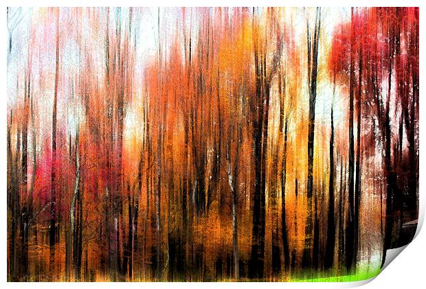 Abstract of Fall Trees Print by Tom and Dawn Gari