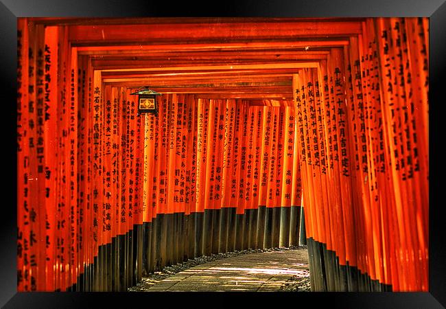 Fushimi Inari Framed Print by Jonah Anderson Photography