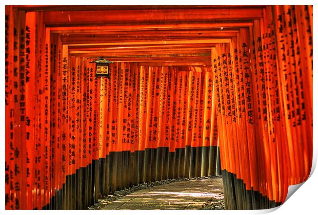 Fushimi Inari Print by Jonah Anderson Photography